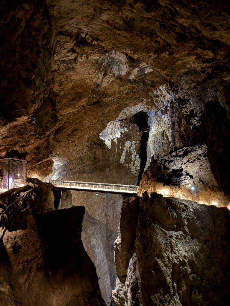 b9bc7bc2-c28c-4e82-b1f4-dc552f7f7b75