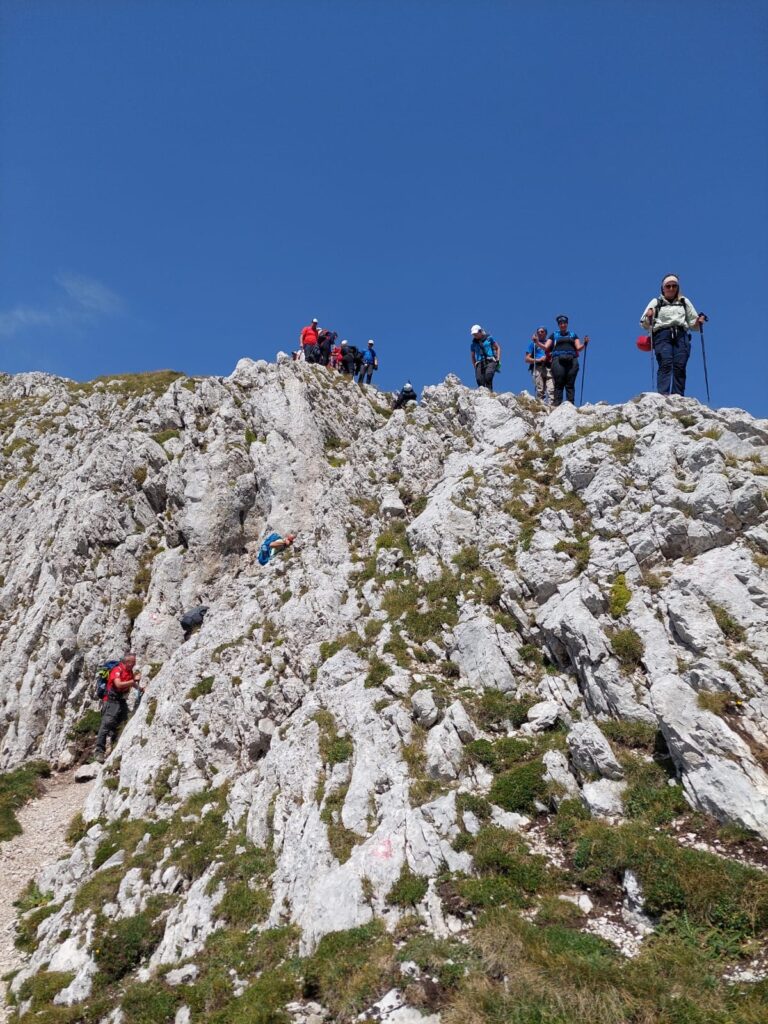 c61e631c-9871-45d2-9ada-25213222c2a2