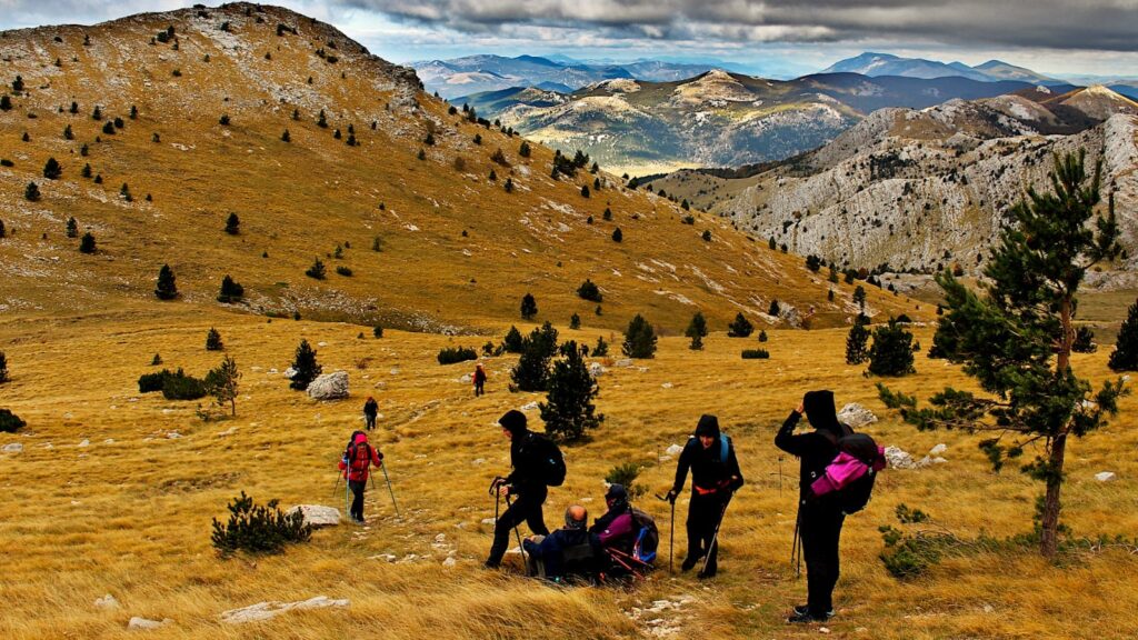 c8fa3cd1-d678-4ece-b116-cba90eef1bf0