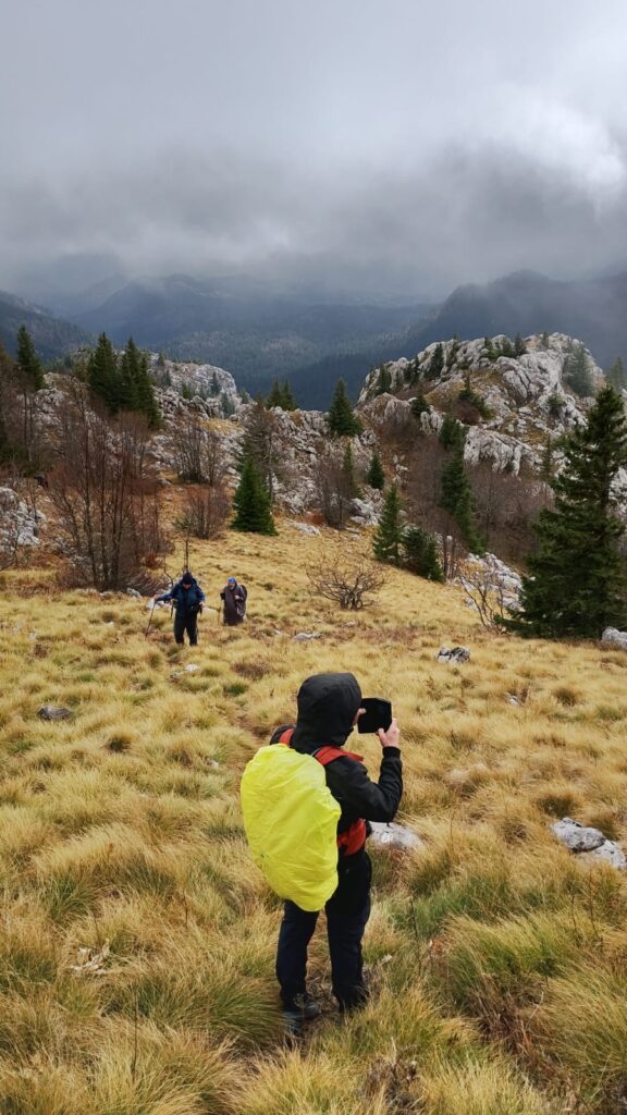 ca835013-10ae-4a40-892d-d75a847e0701