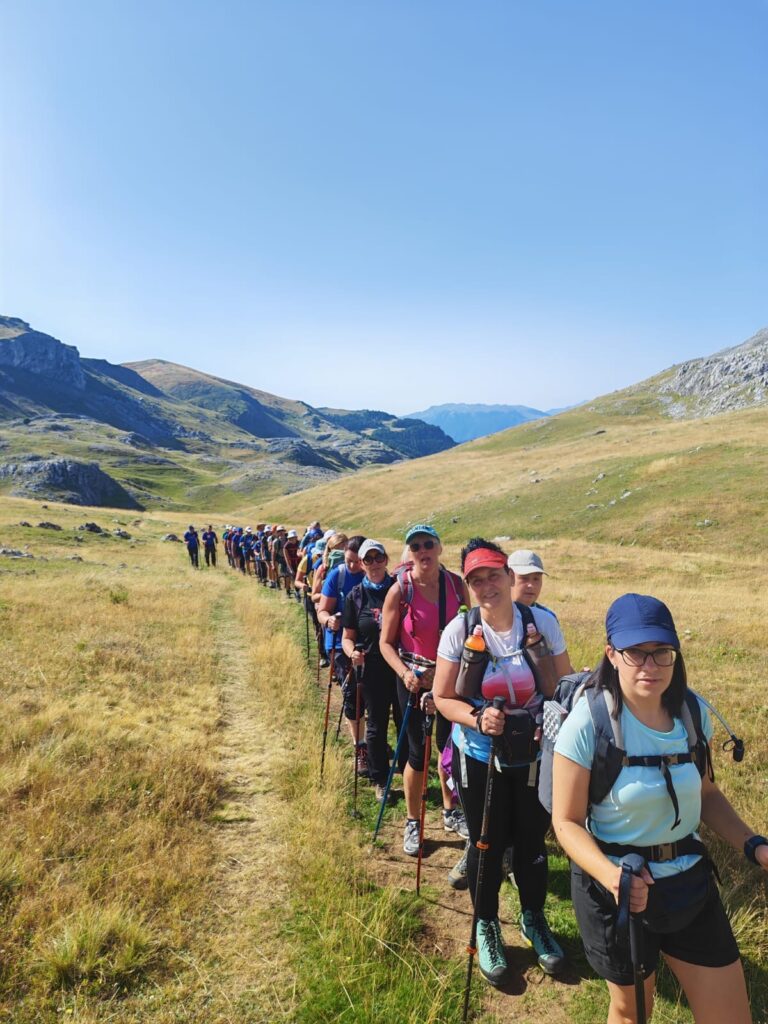 ca95ea7e-37d6-4e7c-915a-be7754cb8679