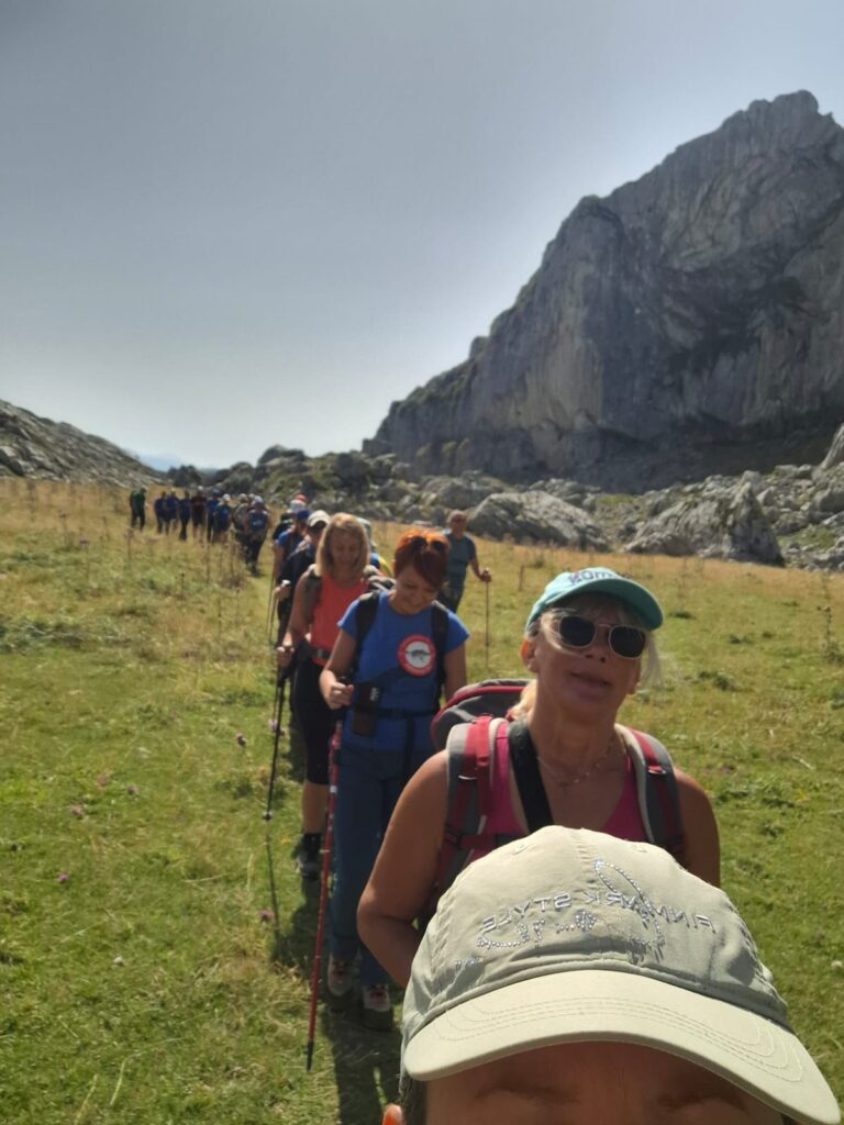 cfb987b6-5cf5-42d5-8b31-ef309aa8a1ee