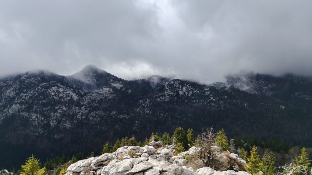 d4a43299-4c37-47cc-ba46-485474cc7a4a