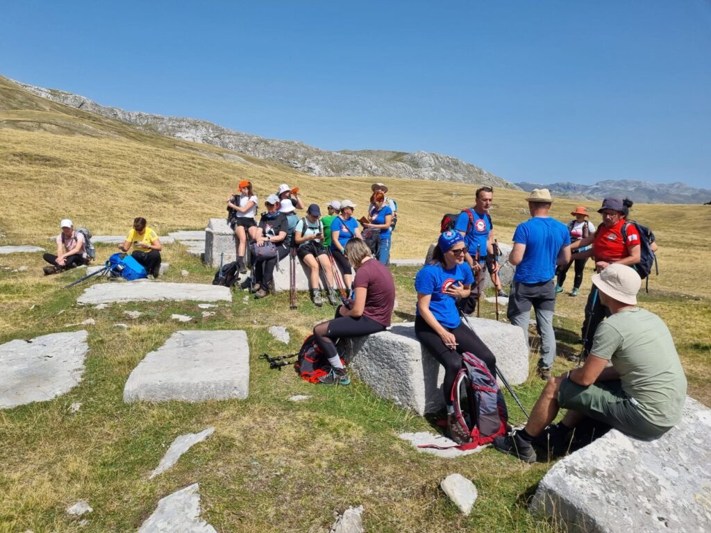 d922d987-87ad-4478-93d6-0f3128fda01f