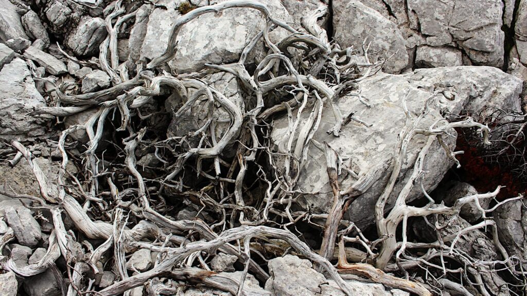 dbb89fa9-ff1d-402e-9804-e6bfbded6912