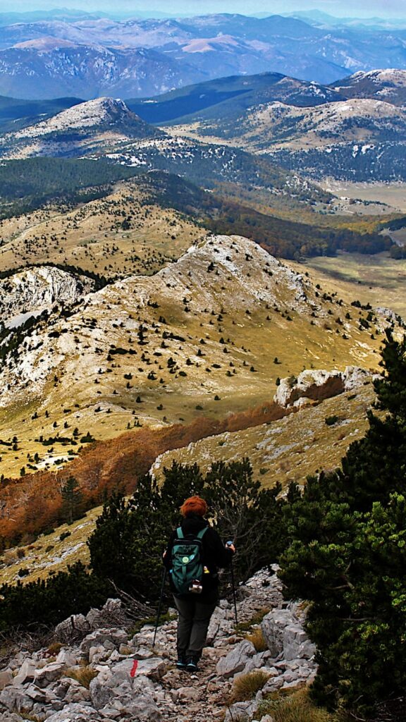 dd4b08d7-ebd2-4100-9fa5-98a4ab269bb1