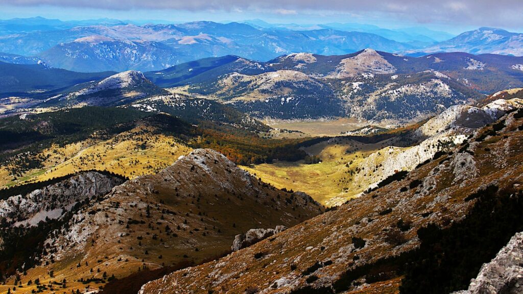 dfd7b8fa-a2fd-4ffe-ad5c-a75677300848