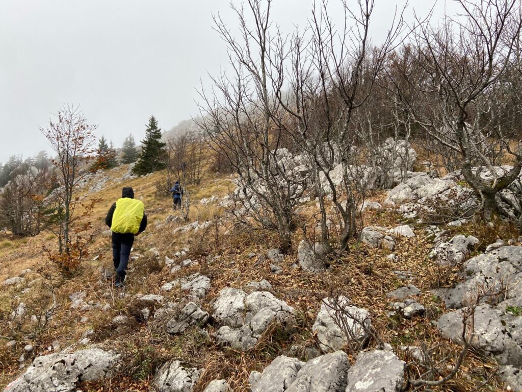 e099695e-6644-4b49-99a9-6b502bf28986