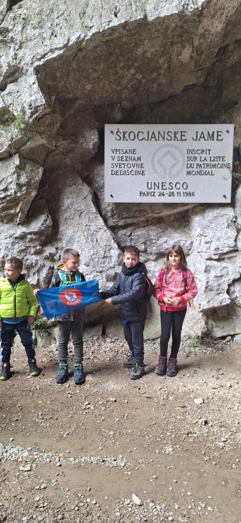 ea64c3d7-38aa-4d3f-994c-dab476553ffe