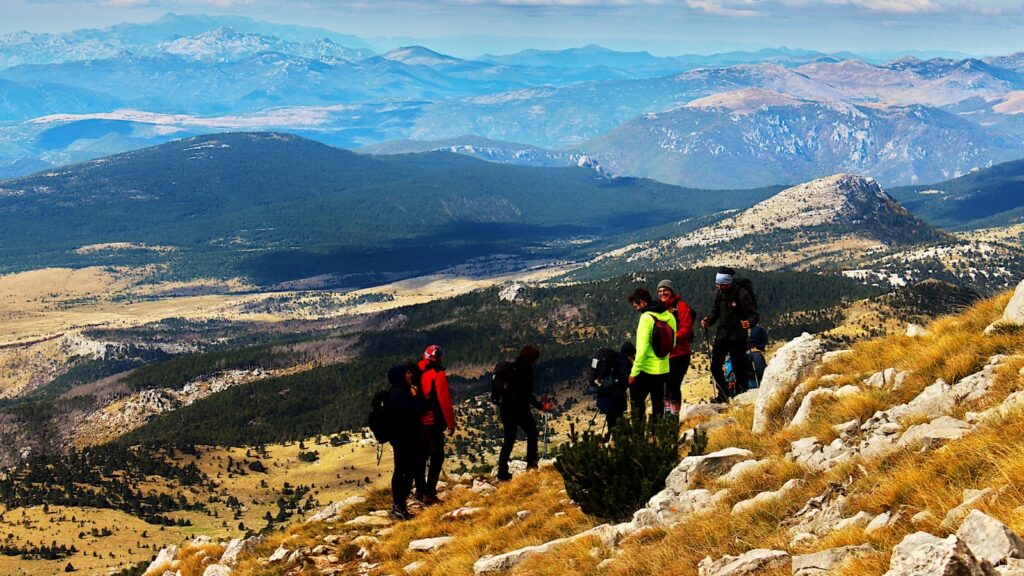 eb620b63-2533-4dc1-9034-794971518694