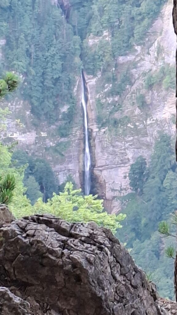 f0db595e-9197-4d9f-b1a5-05c8fb40440d