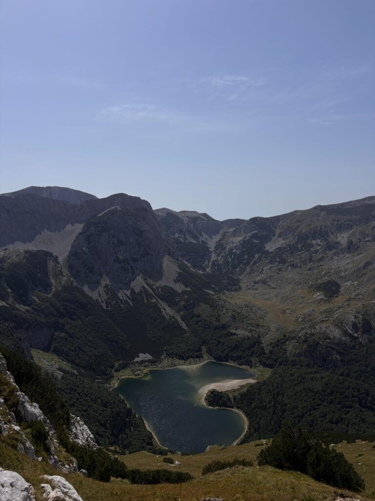 f241f3b0-e4f8-4988-b2df-a9492a1eaa71