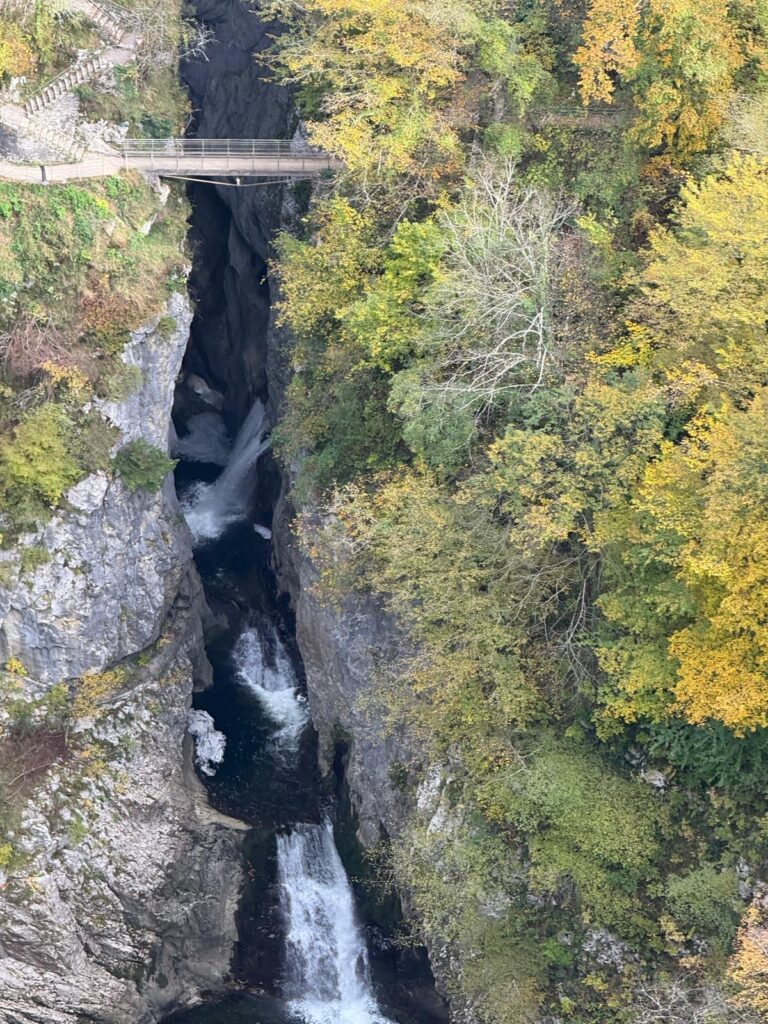 fa933758-db92-4508-bc0b-dfe9c3e5c407