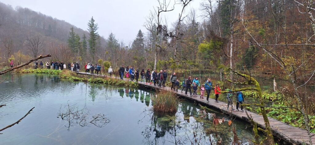 08ecca20-b93b-4e0c-b40b-d230300f9af2