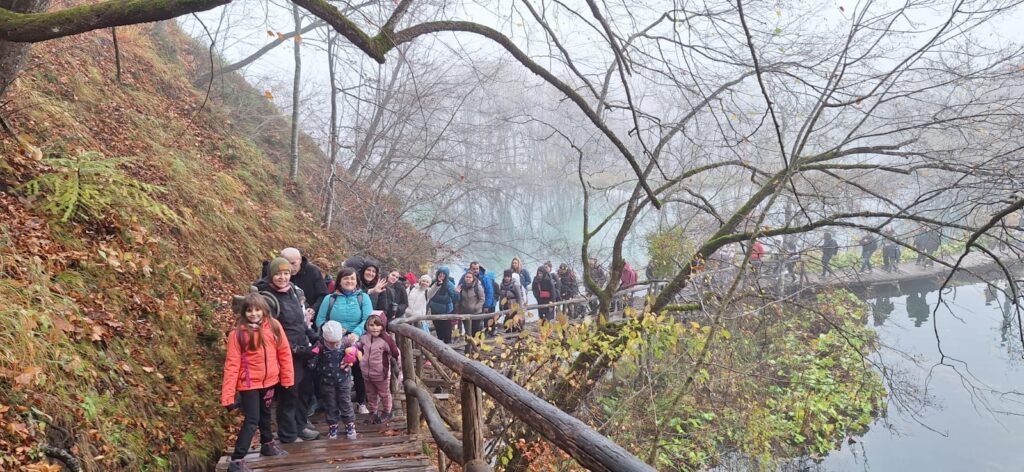 ac9c568c-e8a0-45c1-a698-1a19b91f0c15