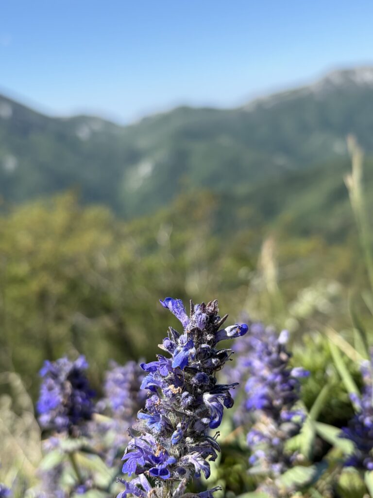 IMG_0063