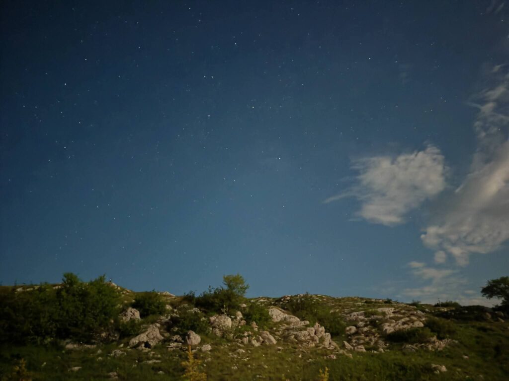 2336530d-c902-42f0-8461-4484ecd6c247