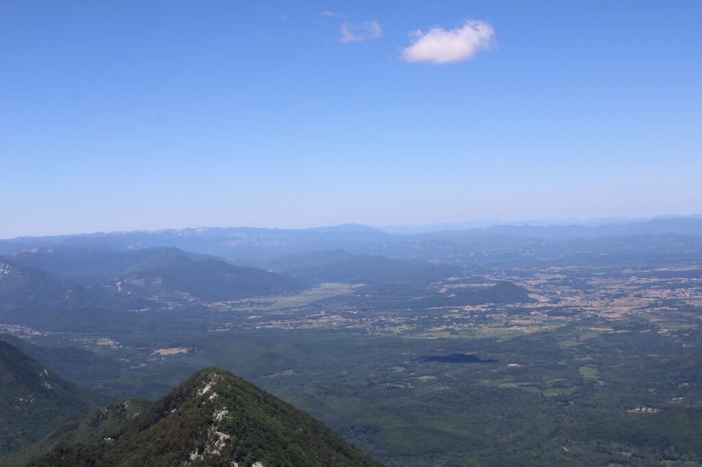 5a54ce24-0e22-4868-b384-6c8d44ec8cc5